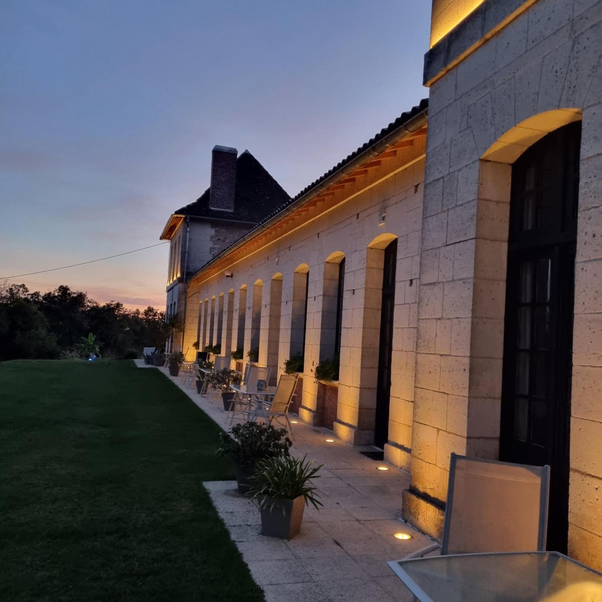 Chateau Neuf Le Desert Le Pizou Eksteriør billede