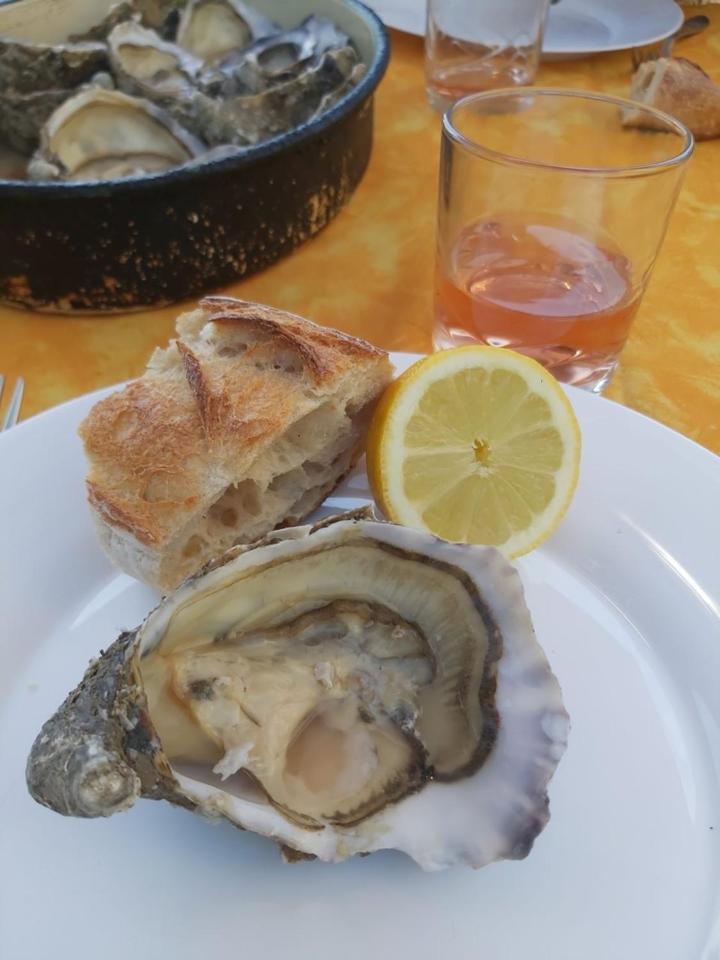 Chateau Neuf Le Desert Le Pizou Eksteriør billede